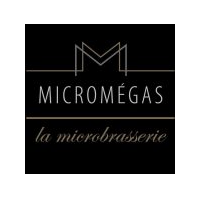 Micromégas logo png